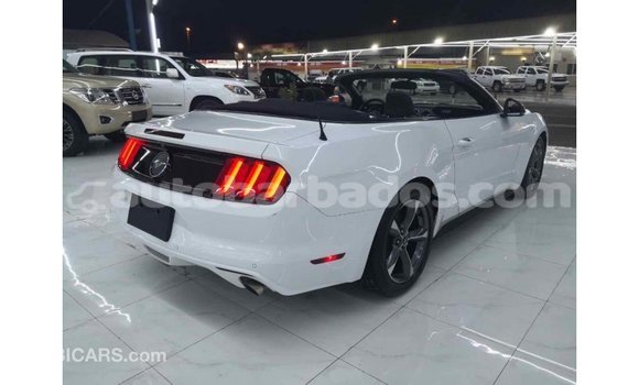 Buy Import Ford Mustang White Car in Import - Dubai in Barbados Buy Import Ford Mustang White Car in Import - Dubai in Barbados