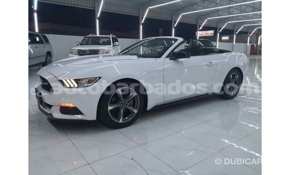Buy Import Ford Mustang White Car in Import - Dubai in Barbados Buy Import Ford Mustang White Car in Import - Dubai in Barbados