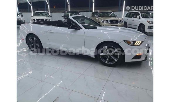 Buy Import Ford Mustang White Car in Import - Dubai in Barbados Buy Import Ford Mustang White Car in Import - Dubai in Barbados
