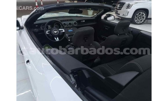 Buy Import Ford Mustang White Car in Import - Dubai in Barbados Buy Import Ford Mustang White Car in Import - Dubai in Barbados