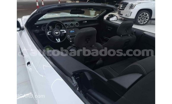 Buy Import Ford Mustang White Car in Import - Dubai in Barbados Buy Import Ford Mustang White Car in Import - Dubai in Barbados