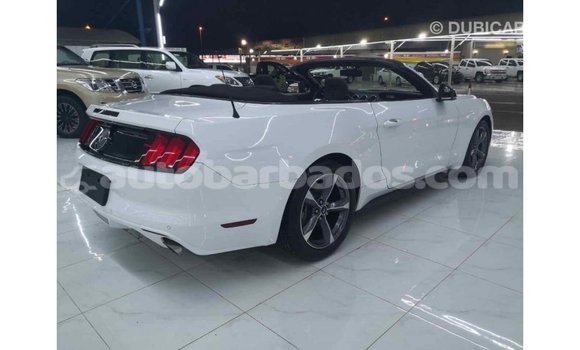 Buy Import Ford Mustang White Car in Import - Dubai in Barbados