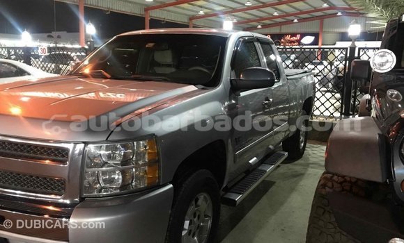Buy Import Chevrolet Silverado Other Car in Import - Dubai in Barbados Buy Import Chevrolet Silverado Other Car in Import - Dubai in Barbados