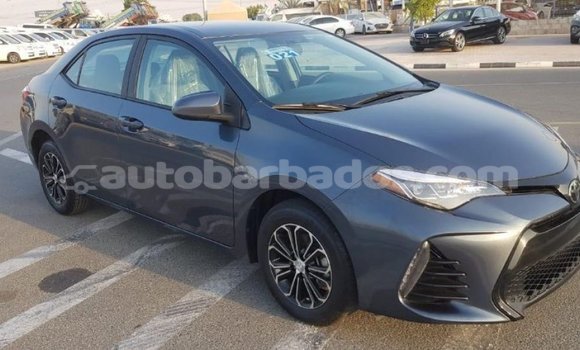 Buy Import Toyota Corolla Other Car in Import - Dubai in Barbados Buy Import Toyota Corolla Other Car in Import - Dubai in Barbados