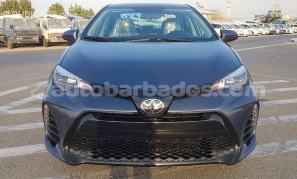 Buy Import Toyota Corolla Other Car in Import - Dubai in Barbados Buy Import Toyota Corolla Other Car in Import - Dubai in Barbados