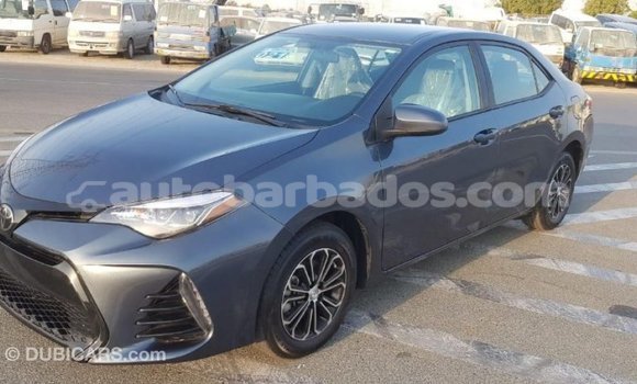 Buy Import Toyota Corolla Other Car in Import - Dubai in Barbados Buy Import Toyota Corolla Other Car in Import - Dubai in Barbados