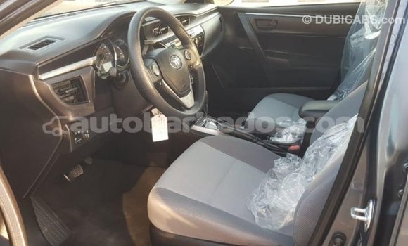 Buy Import Toyota Corolla Other Car in Import - Dubai in Barbados Buy Import Toyota Corolla Other Car in Import - Dubai in Barbados