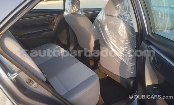 Buy Import Toyota Corolla Other Car in Import - Dubai in Barbados Buy Import Toyota Corolla Other Car in Import - Dubai in Barbados