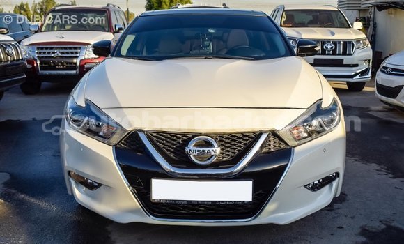 Buy Import Nissan Maxima White Car in Import - Dubai in Barbados Buy Import Nissan Maxima White Car in Import - Dubai in Barbados