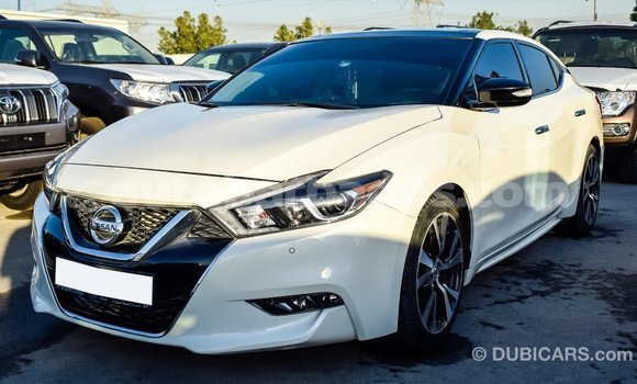 Buy Import Nissan Maxima White Car in Import - Dubai in Barbados Buy Import Nissan Maxima White Car in Import - Dubai in Barbados