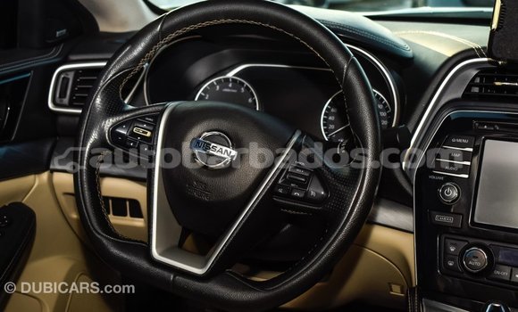 Buy Import Nissan Maxima White Car in Import - Dubai in Barbados Buy Import Nissan Maxima White Car in Import - Dubai in Barbados
