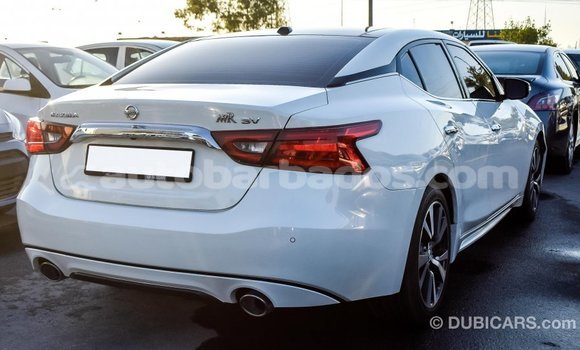 Buy Import Nissan Maxima White Car in Import - Dubai in Barbados Buy Import Nissan Maxima White Car in Import - Dubai in Barbados