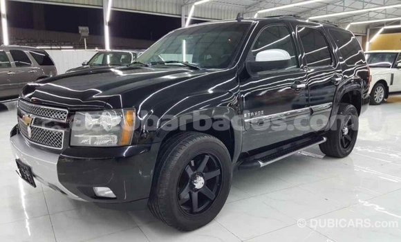 Buy Import Chevrolet Tahoe Black Car in Import - Dubai in Barbados Buy Import Chevrolet Tahoe Black Car in Import - Dubai in Barbados