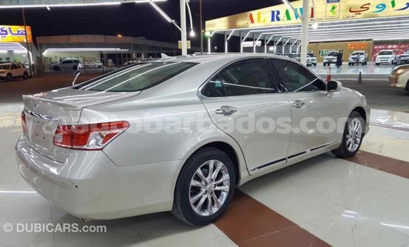 Buy Import Lexus ES Other Car in Import - Dubai in Barbados Buy Import Lexus ES Other Car in Import - Dubai in Barbados