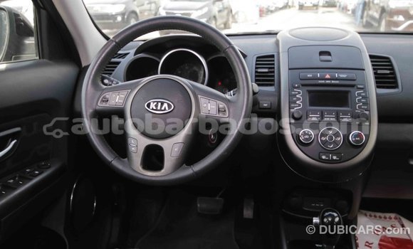Buy Import Kia Soul Black Car in Import - Dubai in Barbados Buy Import Kia Soul Black Car in Import - Dubai in Barbados