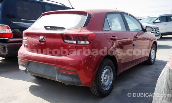 Buy Import Kia Rio Red Car in Import - Dubai in Barbados Buy Import Kia Rio Red Car in Import - Dubai in Barbados