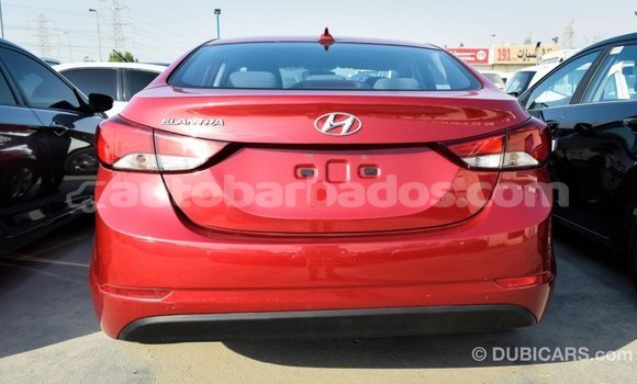 Buy Import Hyundai Elantra Red Car in Import - Dubai in Barbados Buy Import Hyundai Elantra Red Car in Import - Dubai in Barbados