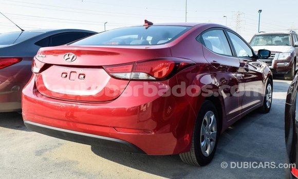 Buy Import Hyundai Elantra Red Car in Import - Dubai in Barbados Buy Import Hyundai Elantra Red Car in Import - Dubai in Barbados