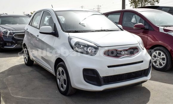 Buy Import Kia Picanto White Car in Import - Dubai in Barbados Buy Import Kia Picanto White Car in Import - Dubai in Barbados