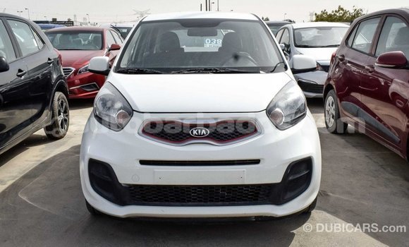 Buy Import Kia Picanto White Car in Import - Dubai in Barbados Buy Import Kia Picanto White Car in Import - Dubai in Barbados