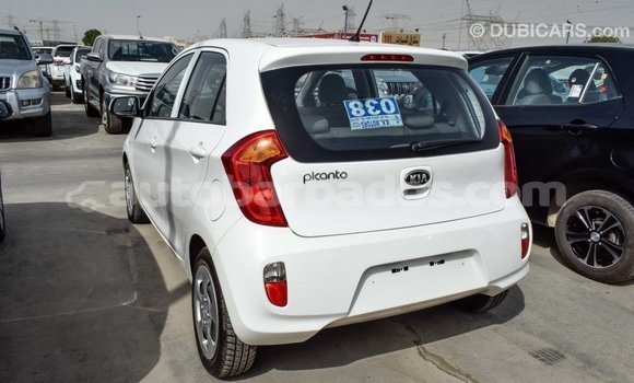 Buy Import Kia Picanto White Car in Import - Dubai in Barbados Buy Import Kia Picanto White Car in Import - Dubai in Barbados
