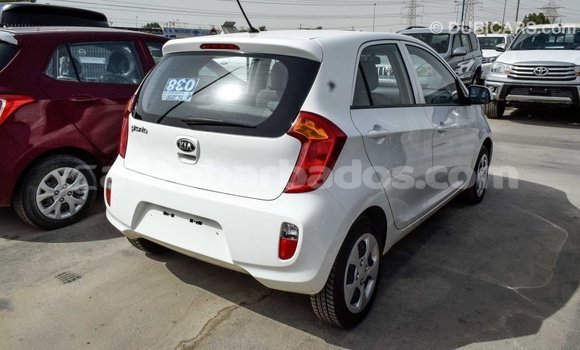Buy Import Kia Picanto White Car in Import - Dubai in Barbados Buy Import Kia Picanto White Car in Import - Dubai in Barbados