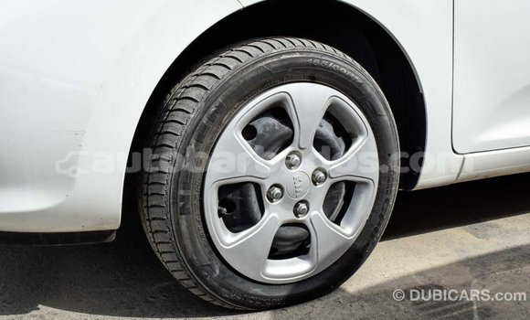 Buy Import Kia Picanto White Car in Import - Dubai in Barbados Buy Import Kia Picanto White Car in Import - Dubai in Barbados
