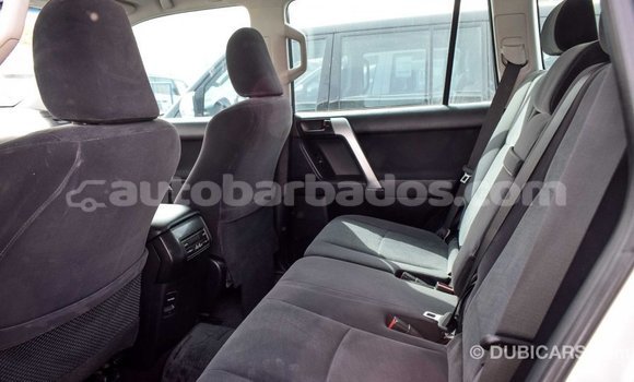 Buy Import Toyota Prado Other Car in Import - Dubai in Barbados Buy Import Toyota Prado Other Car in Import - Dubai in Barbados