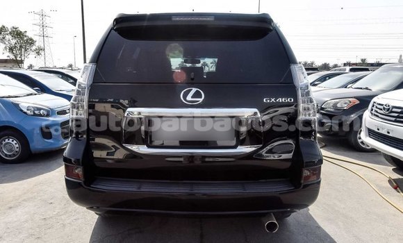 Buy Import Lexus GX Black Car in Import - Dubai in Barbados Buy Import Lexus GX Black Car in Import - Dubai in Barbados