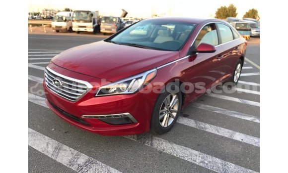 Buy Import Hyundai Sonata Red Car in Import - Dubai in Barbados Buy Import Hyundai Sonata Red Car in Import - Dubai in Barbados