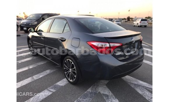 Buy Import Toyota Corolla Other Car in Import - Dubai in Barbados Buy Import Toyota Corolla Other Car in Import - Dubai in Barbados