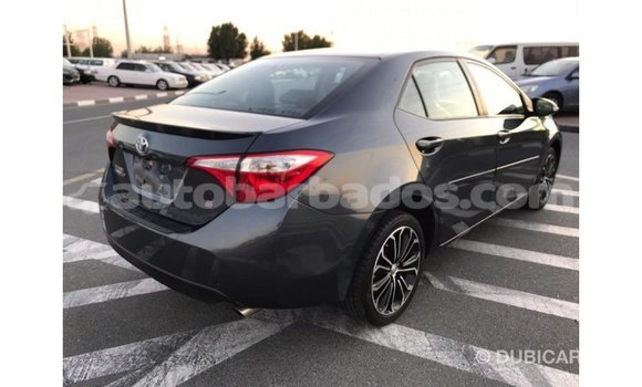 Buy Import Toyota Corolla Other Car in Import - Dubai in Barbados Buy Import Toyota Corolla Other Car in Import - Dubai in Barbados