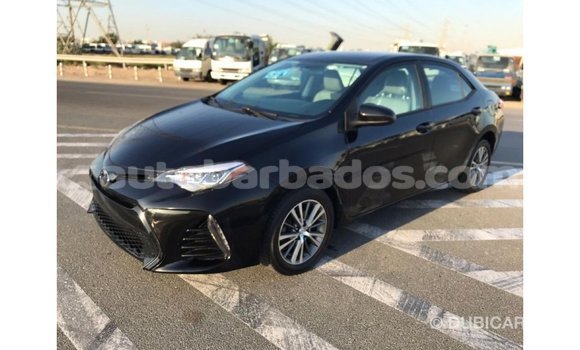 Buy Import Toyota Corolla Black Car in Import - Dubai in Barbados Buy Import Toyota Corolla Black Car in Import - Dubai in Barbados