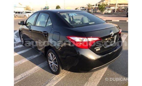 Buy Import Toyota Corolla Black Car in Import - Dubai in Barbados Buy Import Toyota Corolla Black Car in Import - Dubai in Barbados