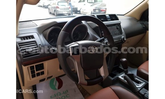 Buy Import Toyota Prado Brown Car in Import - Dubai in Barbados Buy Import Toyota Prado Brown Car in Import - Dubai in Barbados