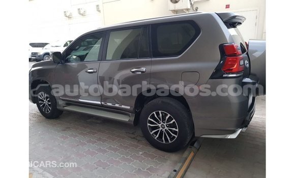 Buy Import Toyota Prado Brown Car in Import - Dubai in Barbados Buy Import Toyota Prado Brown Car in Import - Dubai in Barbados
