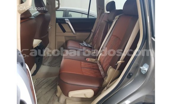 Buy Import Toyota Prado Brown Car in Import - Dubai in Barbados Buy Import Toyota Prado Brown Car in Import - Dubai in Barbados