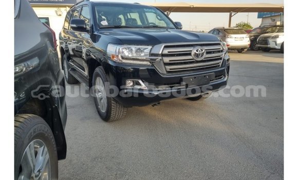 Buy Import Toyota Land Cruiser Black Car in Import - Dubai in Barbados Buy Import Toyota Land Cruiser Black Car in Import - Dubai in Barbados