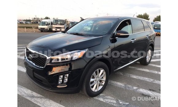 Buy Import Kia Sorento Black Car in Import - Dubai in Barbados Buy Import Kia Sorento Black Car in Import - Dubai in Barbados