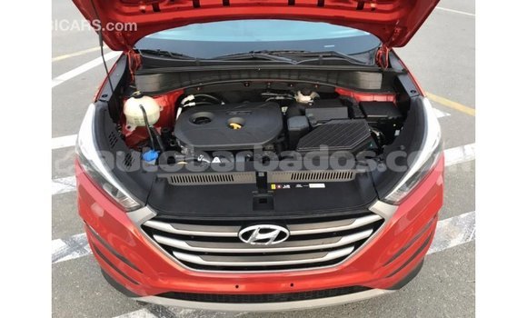 Buy Import Hyundai Tucson Red Car in Import - Dubai in Barbados Buy Import Hyundai Tucson Red Car in Import - Dubai in Barbados