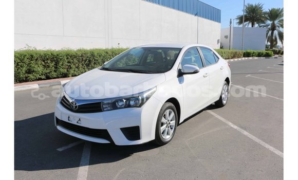 Buy Import Toyota Corolla White Car in Import - Dubai in Barbados Buy Import Toyota Corolla White Car in Import - Dubai in Barbados