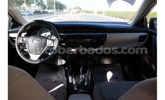 Buy Import Toyota Corolla White Car in Import - Dubai in Barbados Buy Import Toyota Corolla White Car in Import - Dubai in Barbados