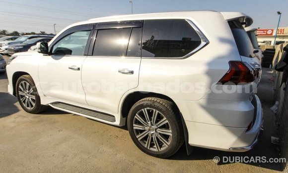 Buy Import Lexus LX White Car in Import - Dubai in Barbados