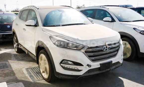 Buy Import Hyundai Tucson White Car in Import - Dubai in Barbados Buy Import Hyundai Tucson White Car in Import - Dubai in Barbados