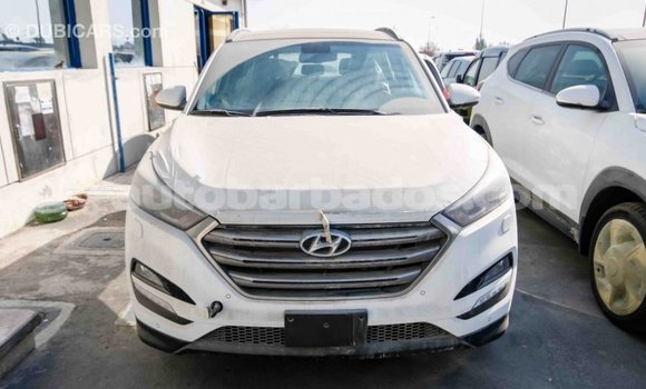 Buy Import Hyundai Tucson White Car in Import - Dubai in Barbados Buy Import Hyundai Tucson White Car in Import - Dubai in Barbados