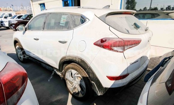 Buy Import Hyundai Tucson White Car in Import - Dubai in Barbados Buy Import Hyundai Tucson White Car in Import - Dubai in Barbados
