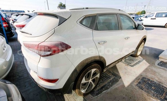 Buy Import Hyundai Tucson White Car in Import - Dubai in Barbados