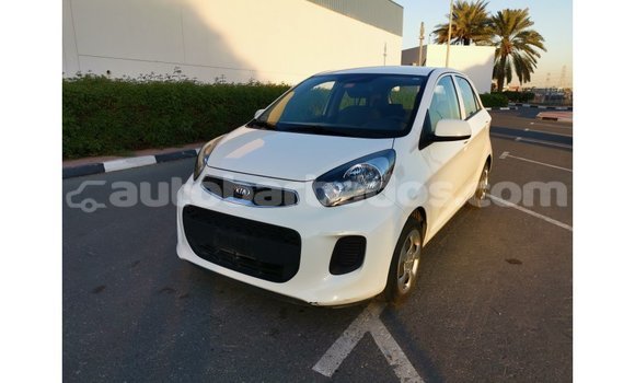Buy Import Kia Picanto White Car in Import - Dubai in Barbados Buy Import Kia Picanto White Car in Import - Dubai in Barbados