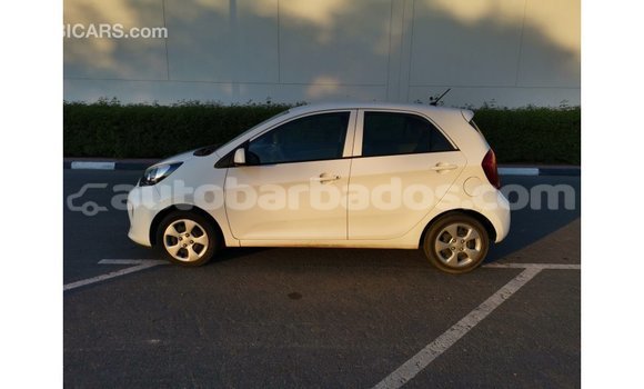 Buy Import Kia Picanto White Car in Import - Dubai in Barbados Buy Import Kia Picanto White Car in Import - Dubai in Barbados
