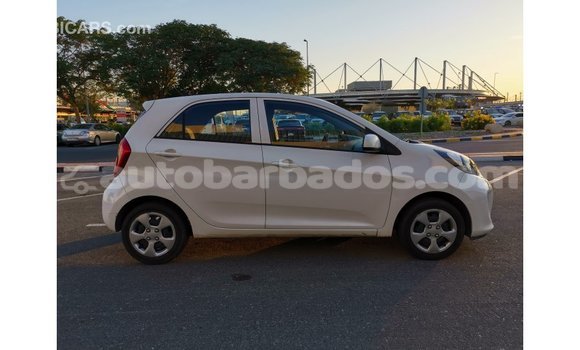 Buy Import Kia Picanto White Car in Import - Dubai in Barbados Buy Import Kia Picanto White Car in Import - Dubai in Barbados